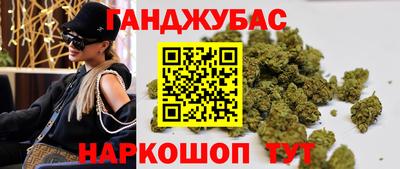 сатива Краснодар