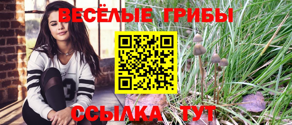 Галлюциногенные грибы MAGIC MUSHROOMS Вольск